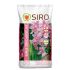 SIRO Orquídeas