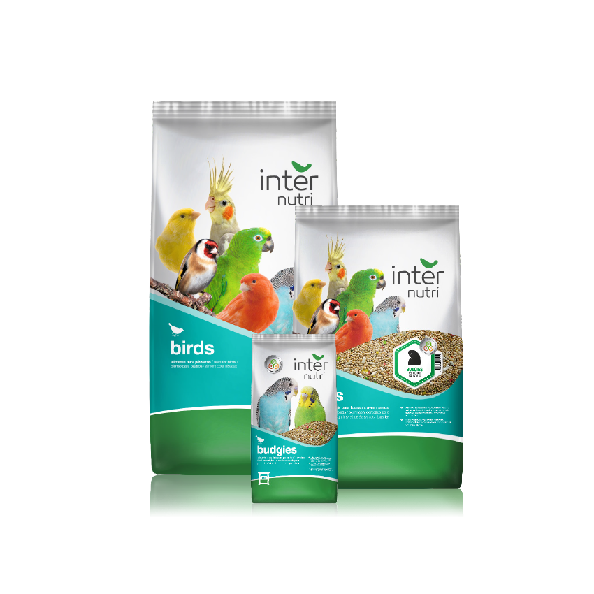 Mistura para Piriquitos